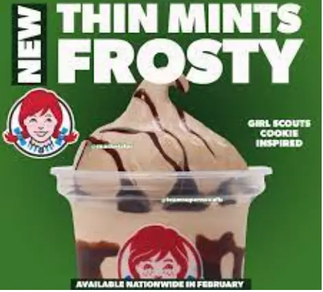 wendys thin mint chocolate frosty